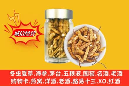 普安县回收散虫草