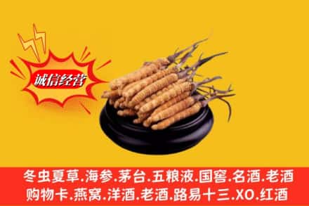 普安县高价上门回收虫草多少钱每克